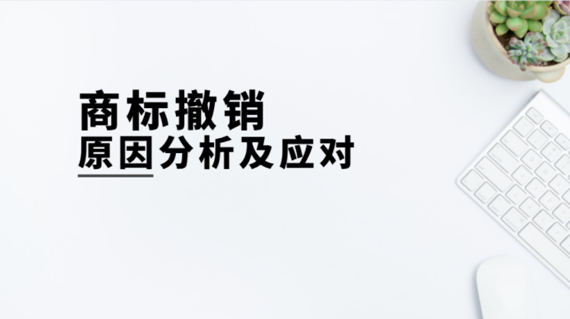 商标易被撤销的常见原因及应对方法