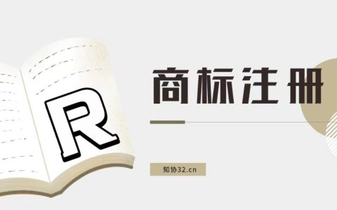 商标申请中能否标注R标？