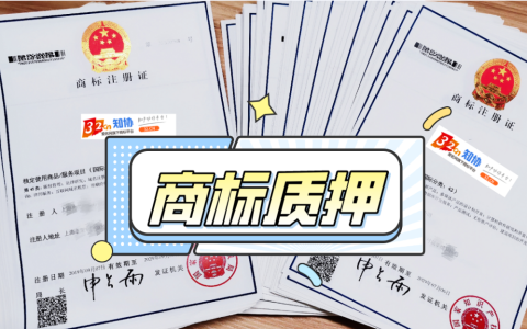 干货丨商标专用权质权登记如何申请？