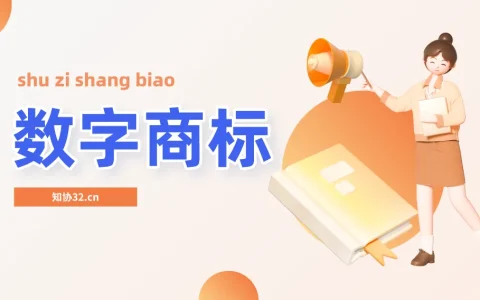 数字商标申请注意事项详解