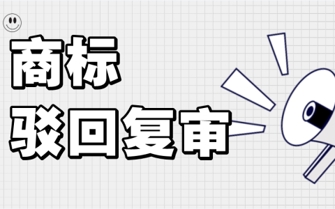 商标驳回复审实用技巧指南